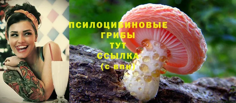 Псилоцибиновые грибы Magic Shrooms  закладки  Рославль 